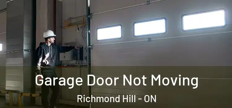  Garage Door Not Moving Richmond Hill - ON
