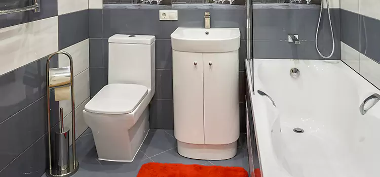 Hansgrohe Shaving Mirror Richmond Hill